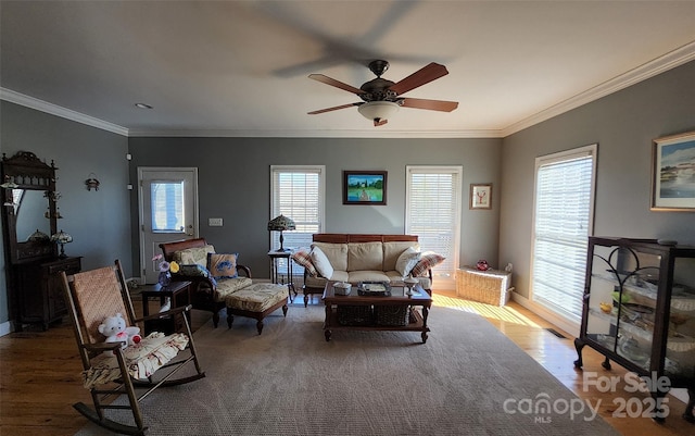 660 Scoggins Rd, Rutherfordton, NC 28139 - living area featuring a ceiling fan, wood finished floors, plenty of natural light, and ornamental molding