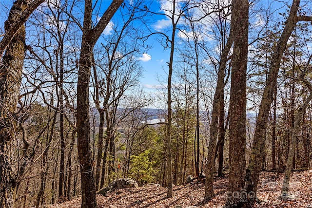 1026 Sierra Trace Rd, Denton NC, 27239 land for sale