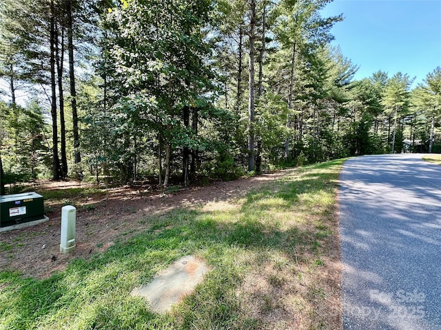 Listing photo 3 for 60 Kingfisher Trce Unit 107, Nebo NC 28761