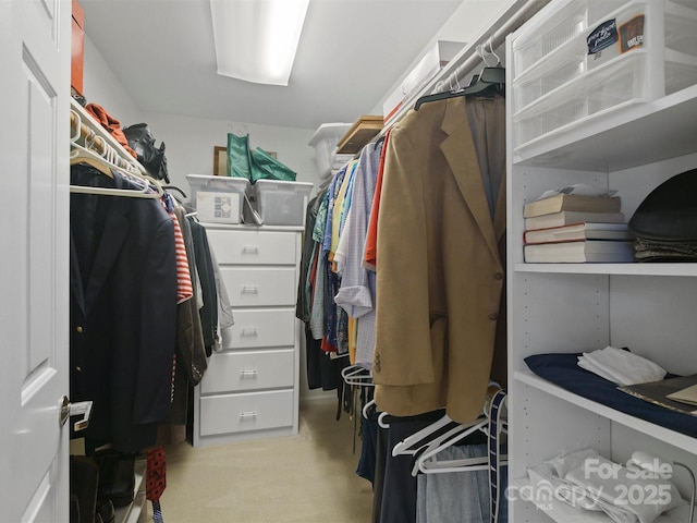 spacious closet featuring light carpet