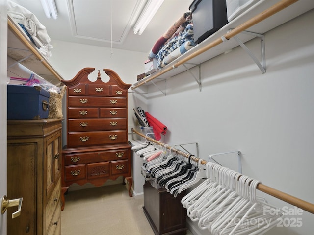 view of walk in closet