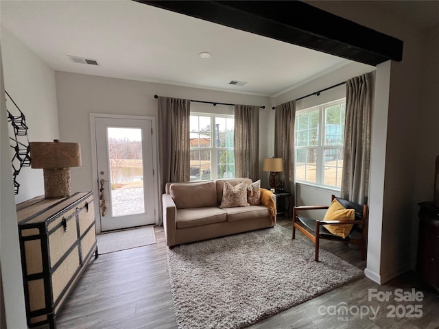 living area with wood-type flooring