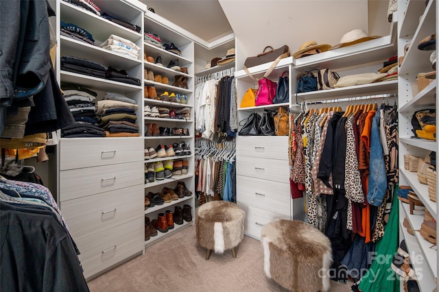 walk in closet with light carpet