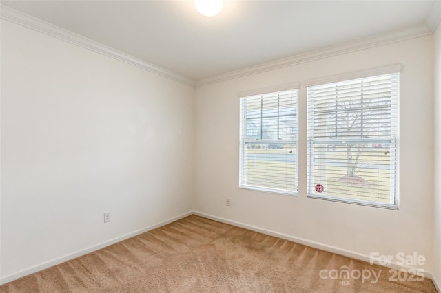 carpeted spare room featuring crown molding