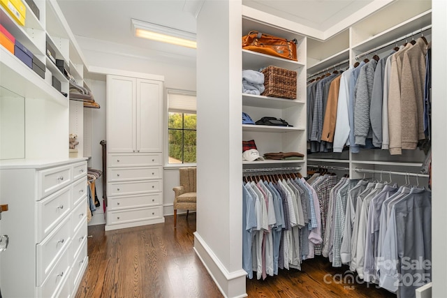 walk in closet with dark wood-style flooring