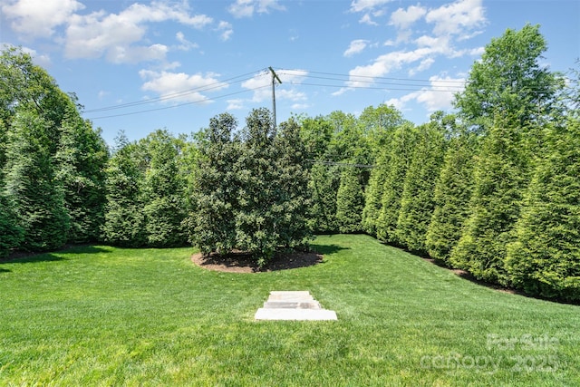 1328 S Kings Dr, Charlotte, NC 28207 - view of green lawn