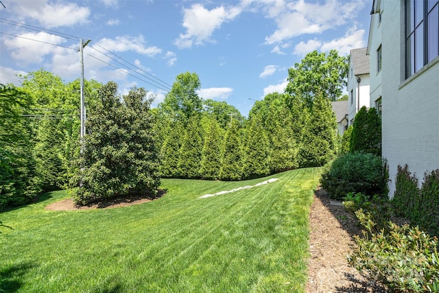 1328 S Kings Dr, Charlotte, NC 28207 - view of grassy yard