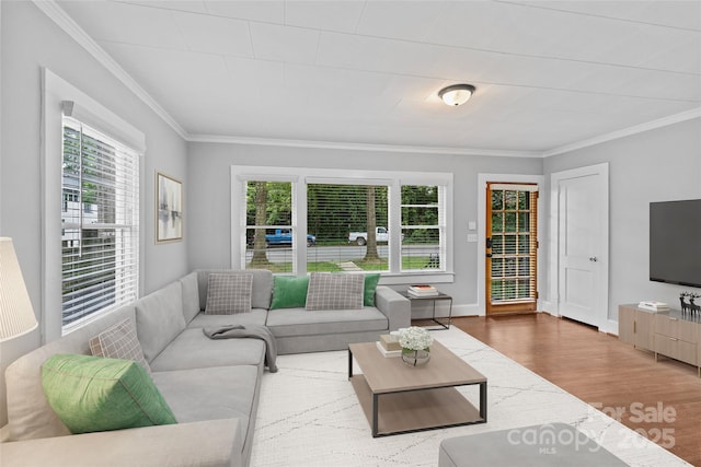 living room featuring crown molding and wood-type flooring