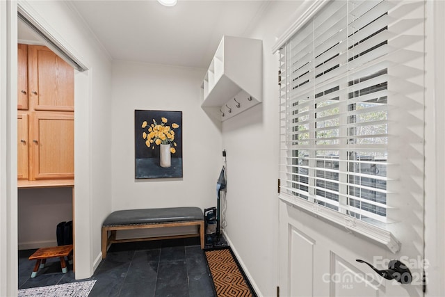 mudroom with crown molding