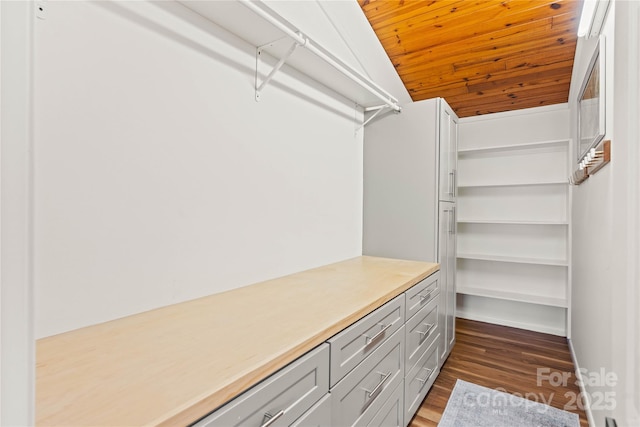 spacious closet featuring dark hardwood / wood-style floors