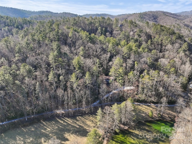 view of mountain feature