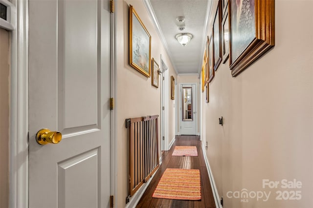 corridor featuring crown molding, dark hardwood / wood-style floors, and a textured ceiling