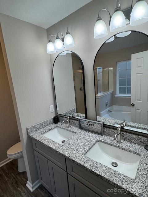 full bathroom with wood finished floors, a sink, and toilet