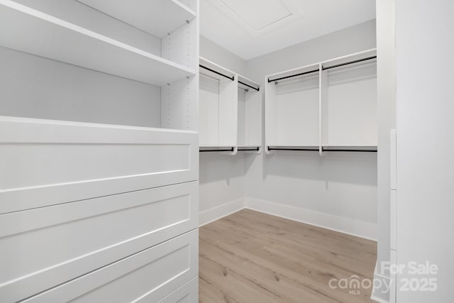 walk in closet with light hardwood / wood-style floors