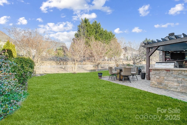 view of yard with a patio area, a fenced backyard, and exterior kitchen