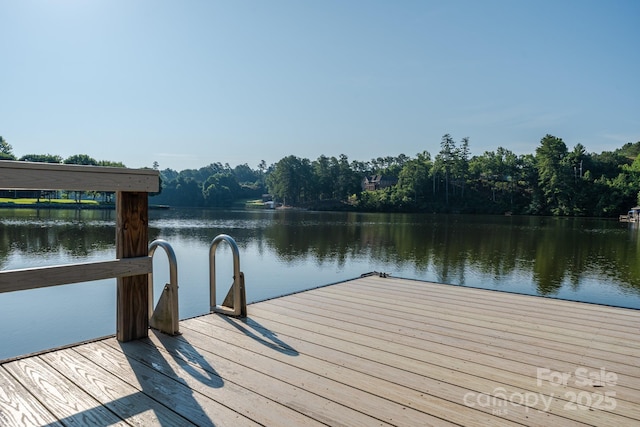 6108 Gold Creek Estate Dr, Hickory, NC 28601 - dock with a water view and a view of trees