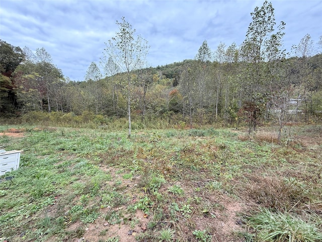 404 E Fork Rd, Sylva NC, 28779 land for sale