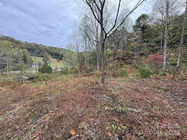 Listing photo 2 for 404 E Fork Rd, Sylva NC 28779