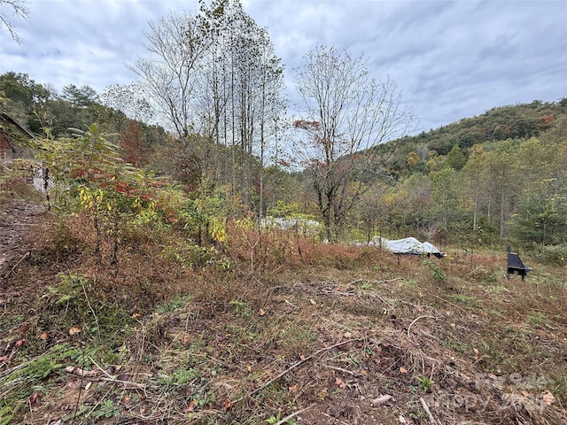 Listing photo 3 for 404 E Fork Rd, Sylva NC 28779