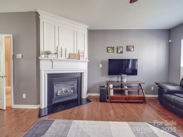 living room featuring hardwood / wood-style floors