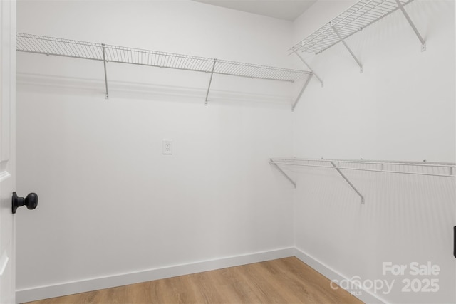 walk in closet with hardwood / wood-style floors