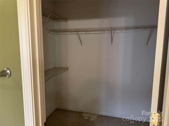 spacious closet with carpet