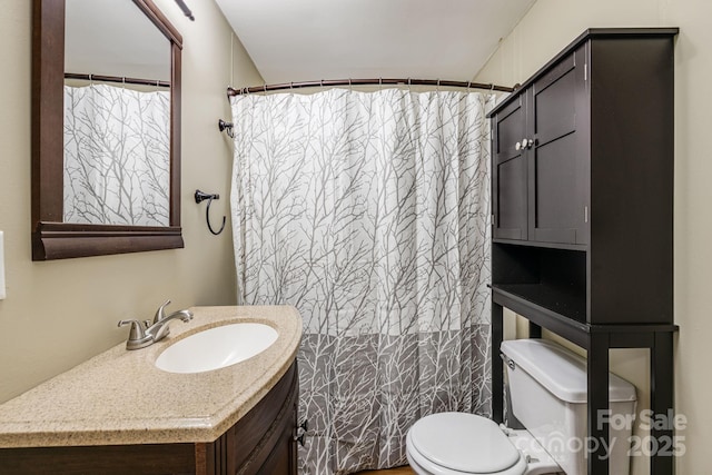 full bath with toilet and vanity