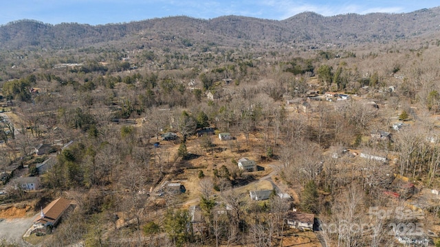 property view of mountains featuring a wooded view