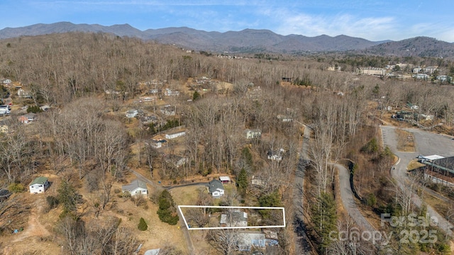 birds eye view of property featuring a mountain view