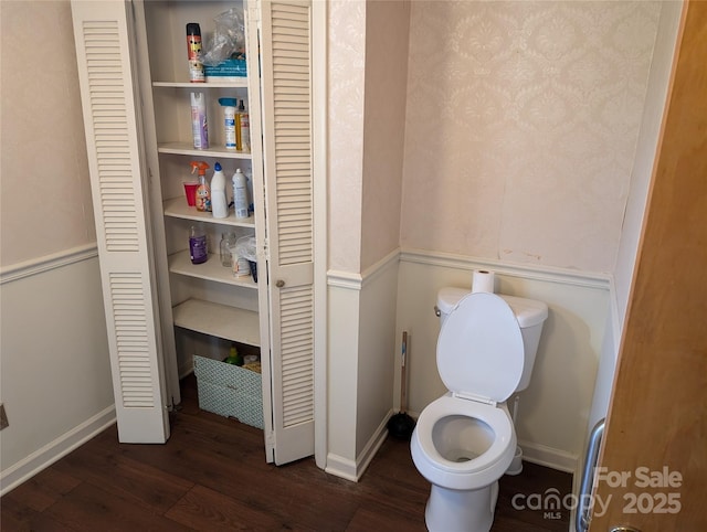 bathroom with wood-type flooring and toilet