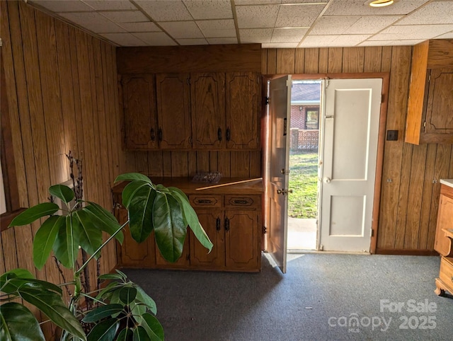 interior space featuring a healthy amount of sunlight, carpet, and wood walls