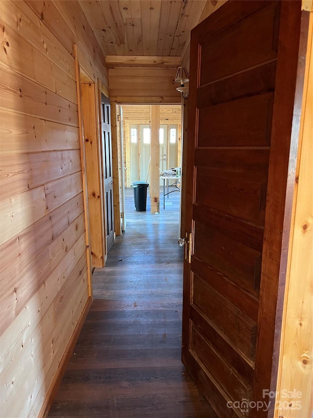 hallway with dark hardwood / wood-style floors, wooden ceiling, and wooden walls