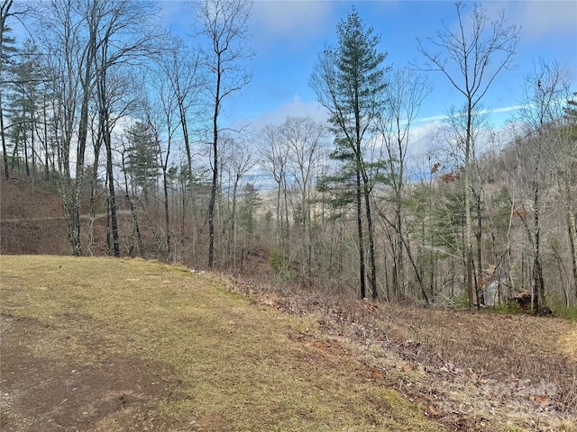 33 Bent Branch Ln, Asheville NC, 28804 land for sale