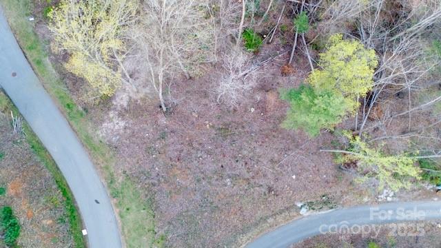33 Bent Branch Ln, Asheville, NC 28804
