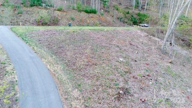 33 Bent Branch Ln, Asheville, NC 28804