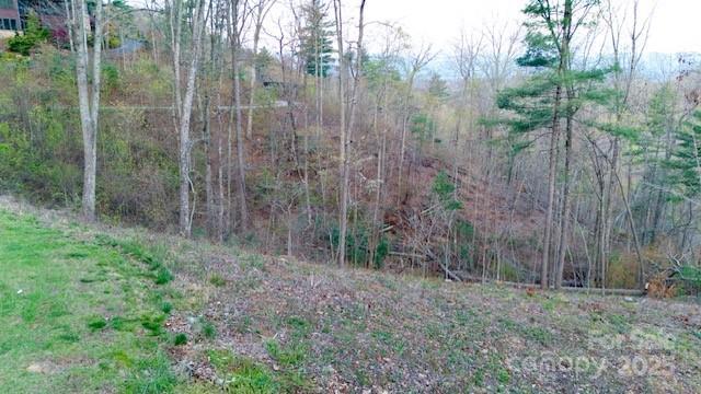 33 Bent Branch Ln, Asheville, NC 28804