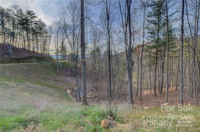 33 Bent Branch Ln, Asheville, NC 28804