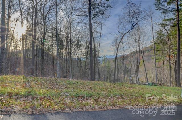 33 Bent Branch Ln, Asheville, NC 28804