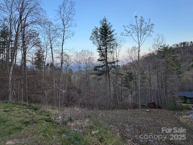 33 Bent Branch Ln, Asheville, NC 28804