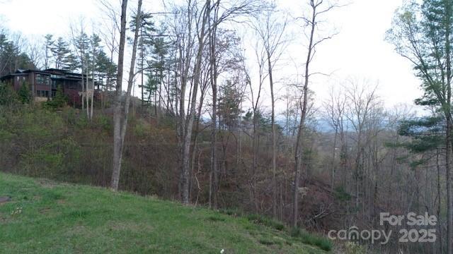 33 Bent Branch Ln, Asheville, NC 28804
