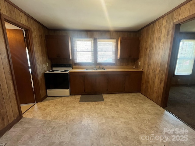 kitchen with crown molding, white range with electric cooktop, sink, and wood walls