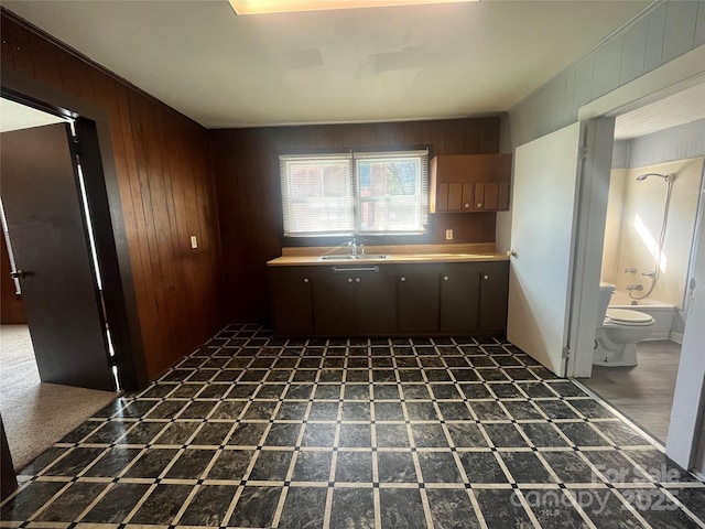 kitchen with dark brown cabinetry, sink, and wooden walls