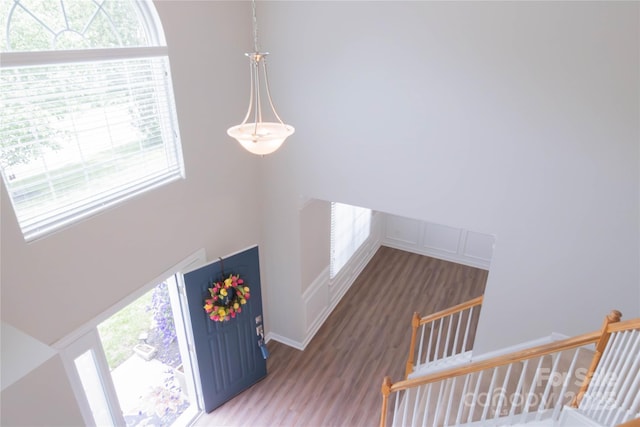2043 Covered Bridge Ct, Rock Hill, SC 29732 - foyer with plenty of natural light, wood finished floors, and a high ceiling