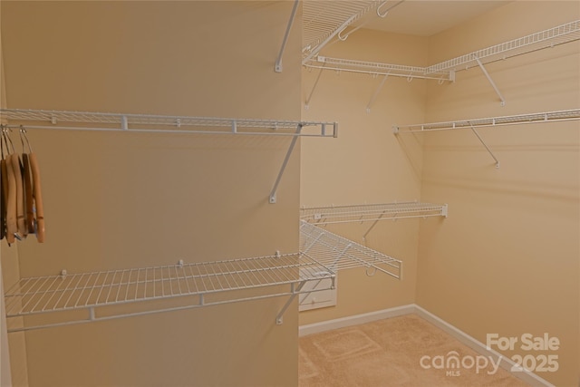 2043 Covered Bridge Ct, Rock Hill, SC 29732 - walk in closet featuring carpet