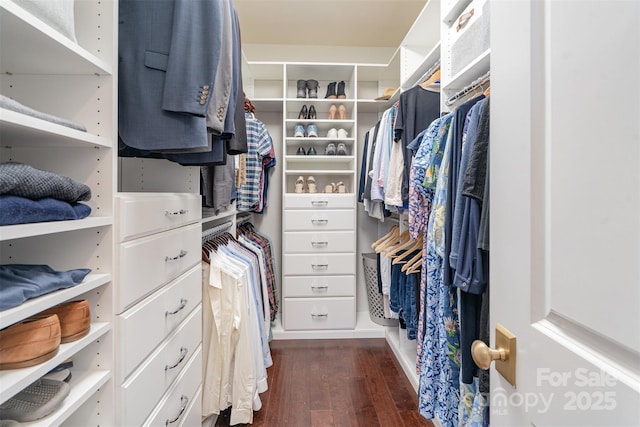 walk in closet with dark wood-style floors