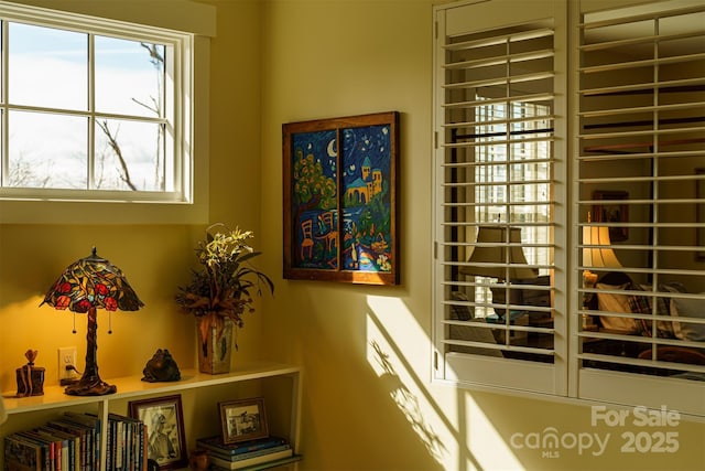 6 Houston St, Asheville, NC 28801 - photo 19