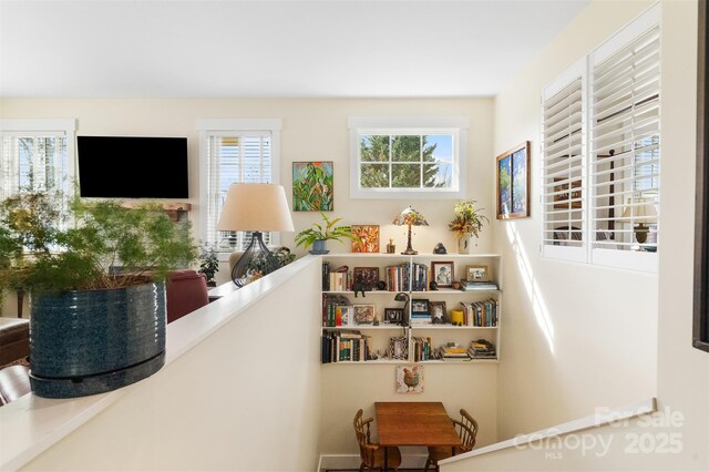 6 Houston St, Asheville, NC 28801 - photo 20