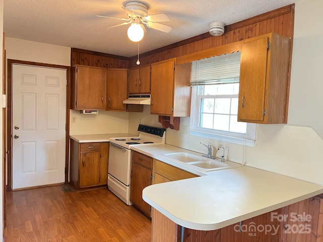 kitchen featuring sink, a textured ceiling, kitchen peninsula, electric stove, and light hardwood / wood-style floors