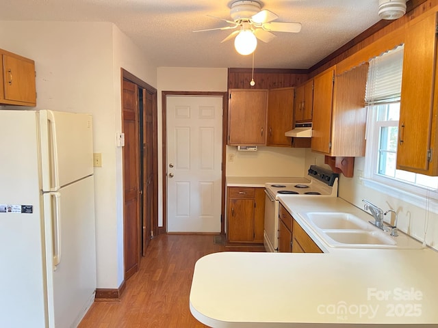 kitchen featuring sink, white appliances, light hardwood / wood-style floors, and a textured ceiling