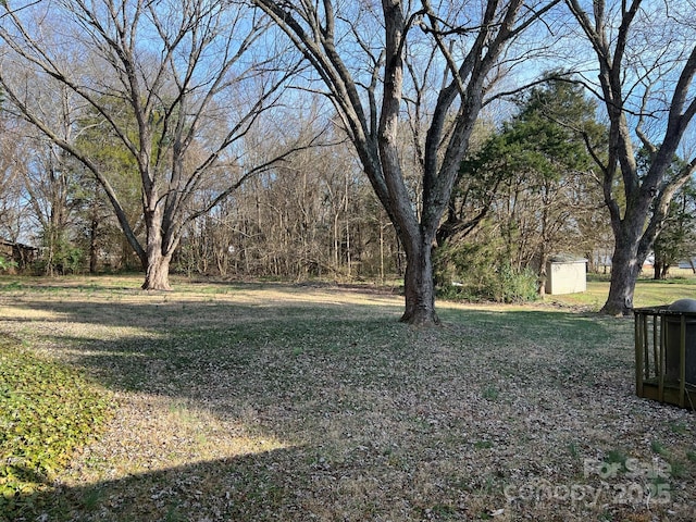 view of yard with a storage unit